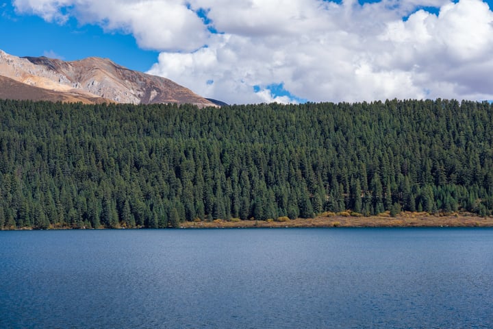 A serene mountain lake surrounded by lush green trees, with a clear blue sky above.