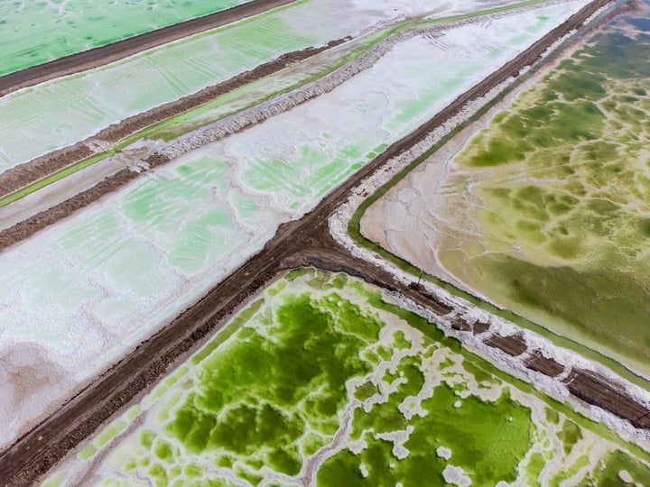 An aerial view of a wetland with green and white water bodies, a dirt road, and a river, with a large body of water in the background.