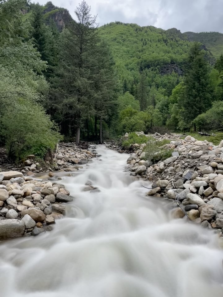 A fast-moving river surrounded by rocks and trees, with a mountain in the background.