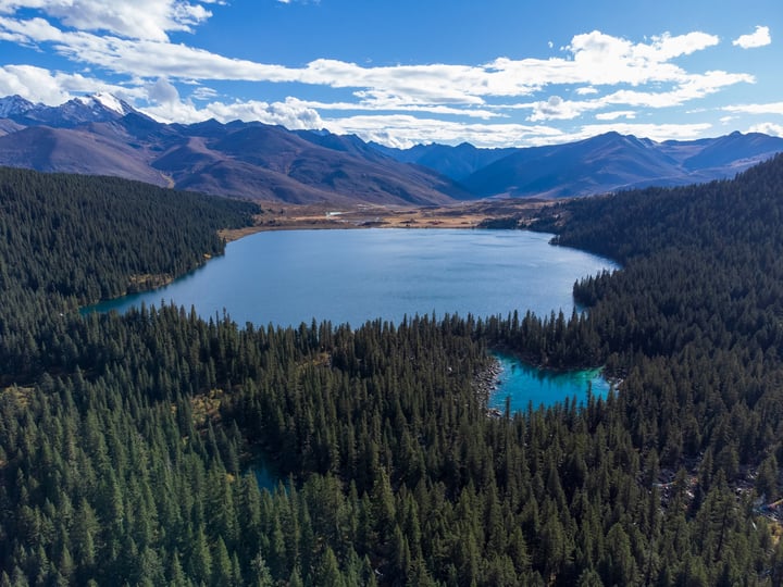 An aerial view of a serene mountain lake surrounded by lush green trees, with a clear blue sky above.