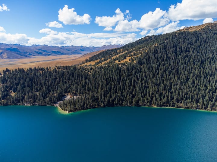 An aerial view of a serene mountain lake surrounded by lush green trees, with a clear blue sky above.