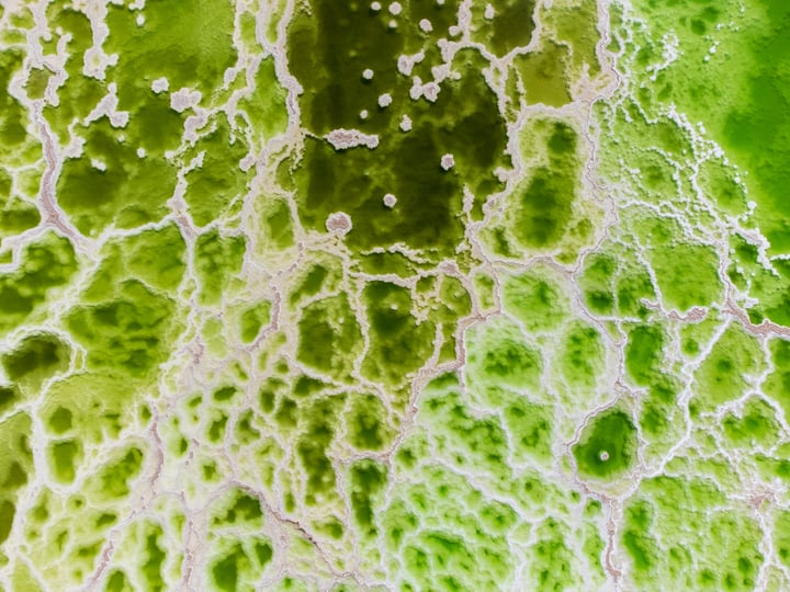 A close-up view of a green and white liquid, possibly a type of soap or cleaning solution, with small bubbles and bubbles in the center.