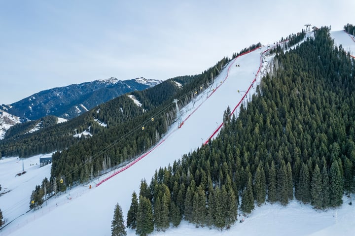 A snowy mountain slope with a red ribbon marking, surrounded by evergreen trees and a clear blue sky.