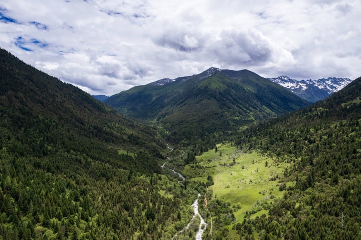 A serene mountainous valley with a winding river, lush green trees, and snow-capped mountains in the background.