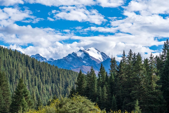 A serene mountain landscape with snow-capped peaks, lush green trees, and a clear blue sky with white clouds.