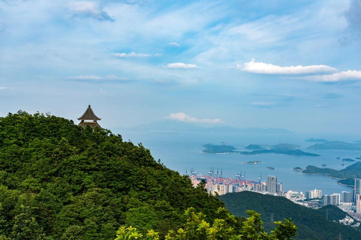A panoramic view of a cityscape, with a prominent tower on a hill overlooking a vast body of water and a bustling harbor.