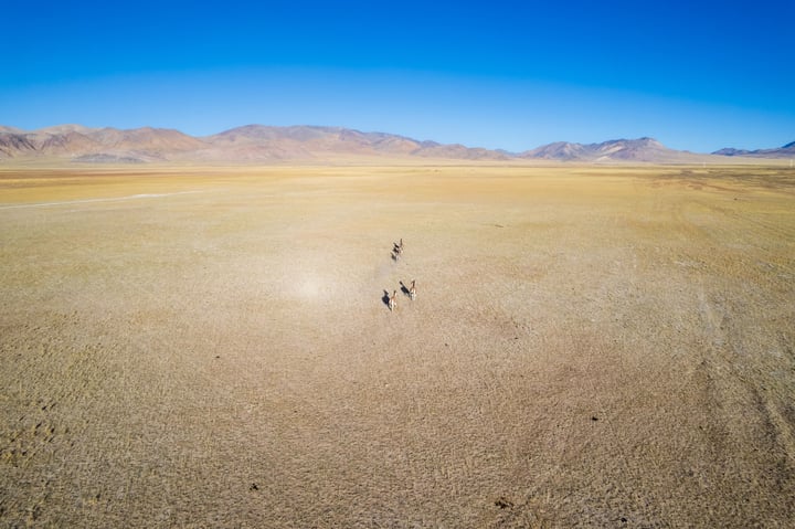 A group of people walk across a vast, barren desert landscape, with mountains in the distance and a clear blue sky above.
