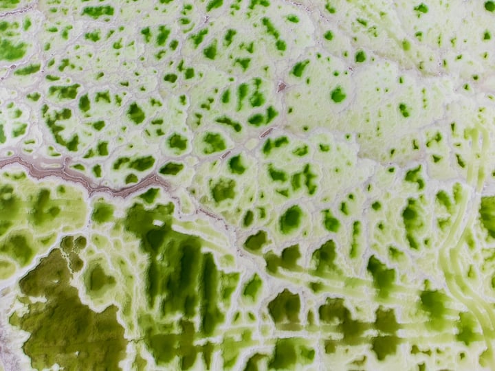 A close-up view of a green and white landscape, with a river flowing through it.