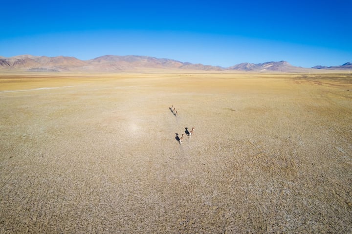 Aerial view of a vast, dry, and barren landscape with mountains in the distance and a clear blue sky above.