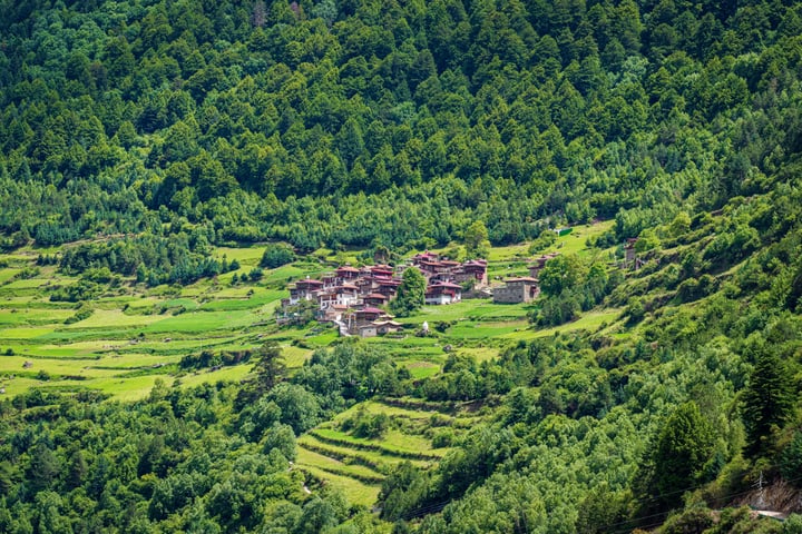 A serene rural landscape features a small village nestled amidst lush greenery, with a red-roofed building on the left and a smaller one on the right. The village is surrounded by a dense forest, and the sky is a clear blue.