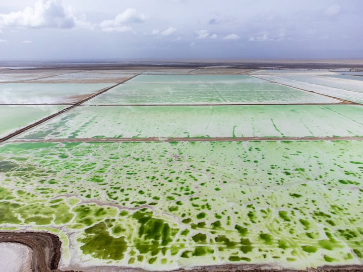 An aerial view of a large, green, marshy field with patches of brown soil, surrounded by a vast expanse of water and a distant horizon.