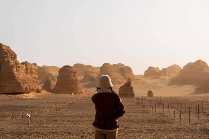 A solitary figure stands in a desert landscape, wearing a white hat and a red jacket, gazing at the sand dunes and a solitary wooden fence in the distance.