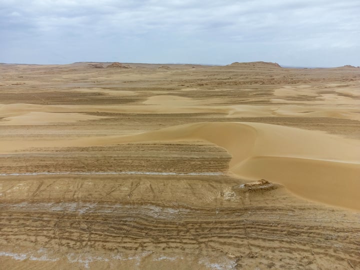 A vast desert landscape with sand dunes, a cloudy sky, and a few small trees.