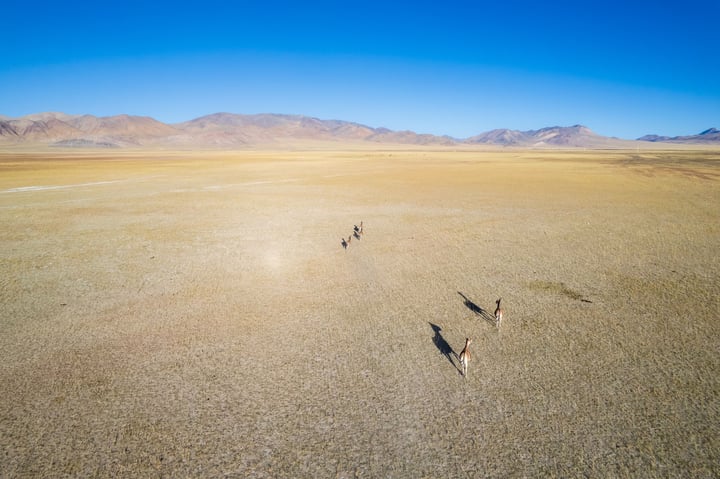 An aerial view of a vast, dry, and barren landscape with mountains in the distance.