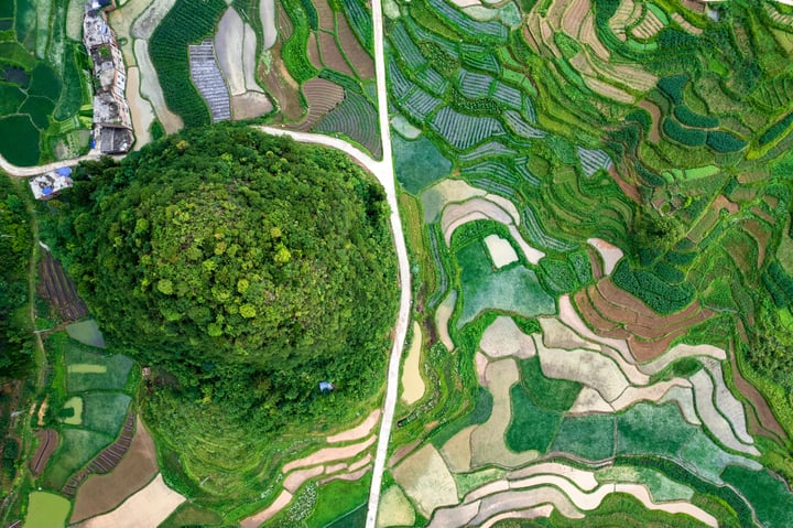 An aerial view of a rice paddling field, with a circular hill in the center, surrounded by a winding road and a small blue house.