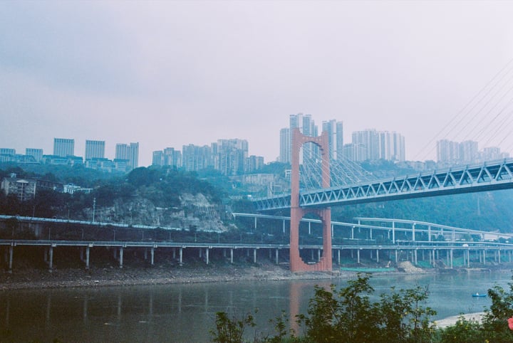 A large white and blue cable bridge spans a river, with a city skyline in the background.