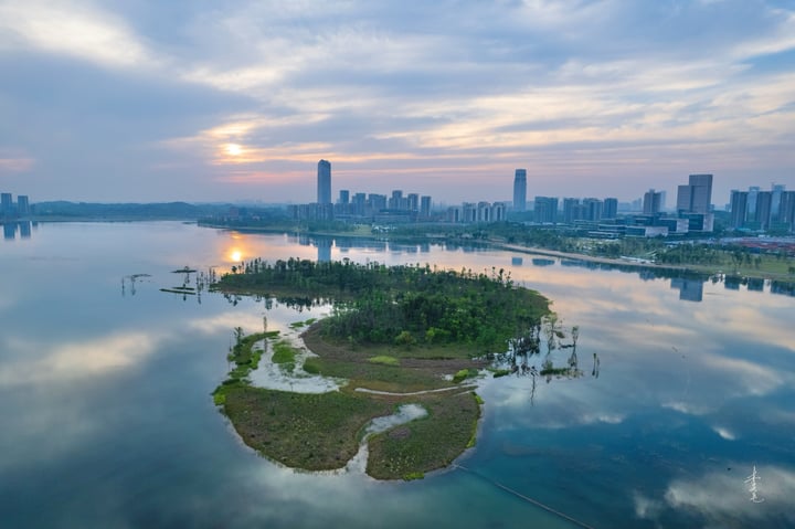 An aerial view of a city with tall buildings, a river, and a park, with a blue sky and clouds.