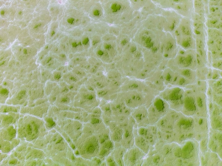 A close-up view of a green and white surface with small, irregularly shaped bubbles, possibly from a beverage or food.