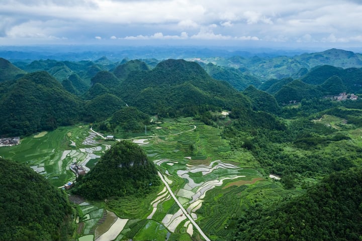 An aerial view of a lush green mountainous landscape with rice terraces, a winding road, and a few buildings in the distance.