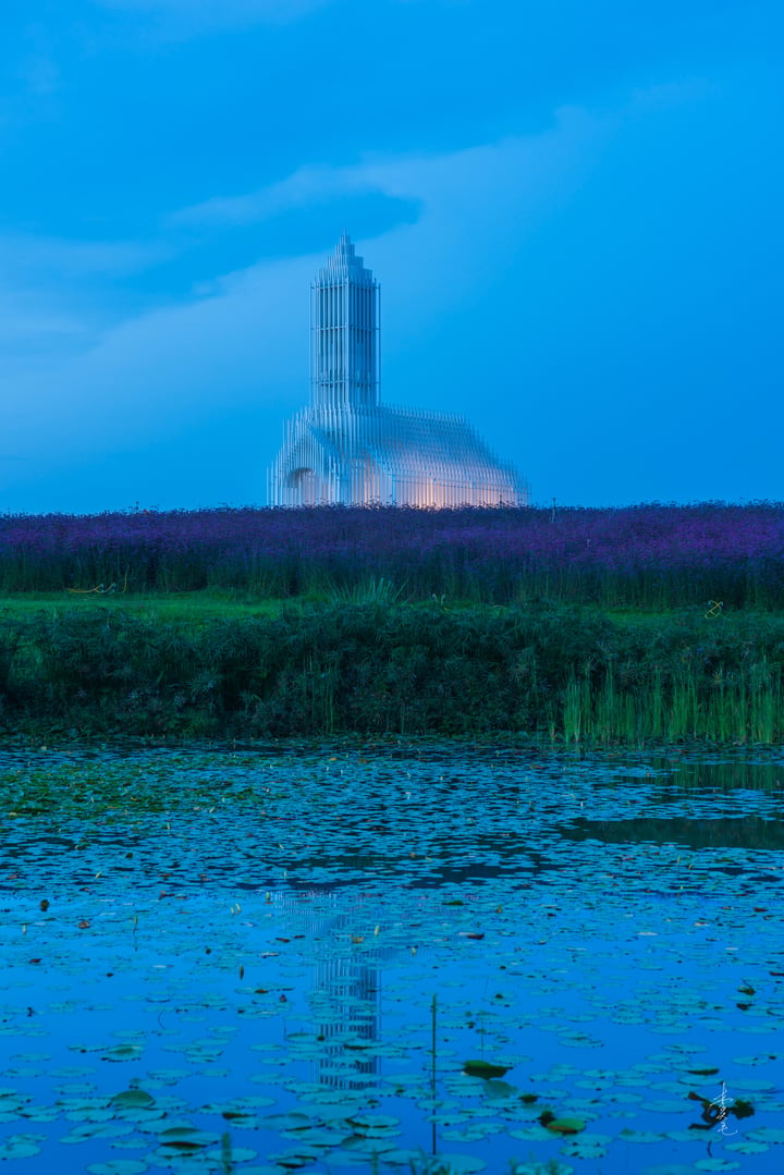 A white space shuttle is on a hill, surrounded by purple flowers and lily pads, with a body of water in the foreground.
